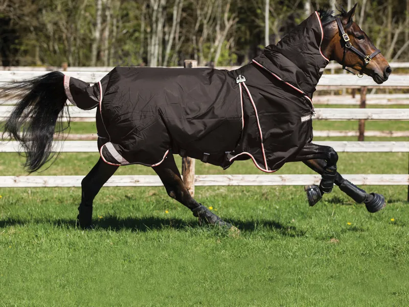Rambo Optimo Turnout Rug and 400g Liner Black/Orange/Black-2